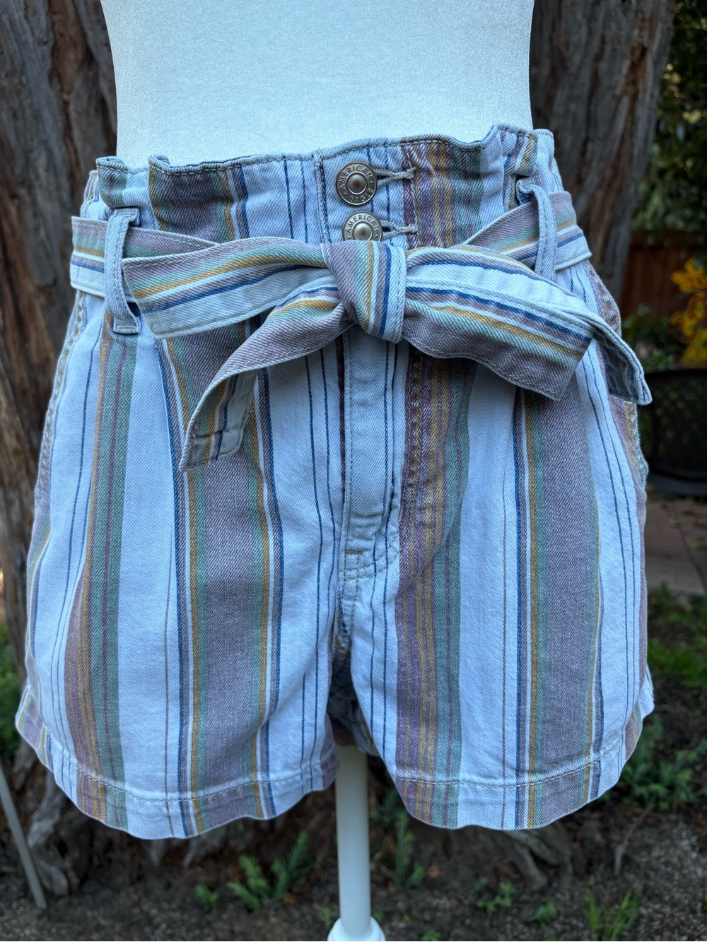 American Eagle Paperbag Waist Striped Shorts Size 4 Pastel Tie Belt High Rise
